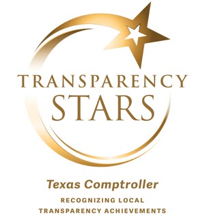 Transarency Star Local Achievements Award